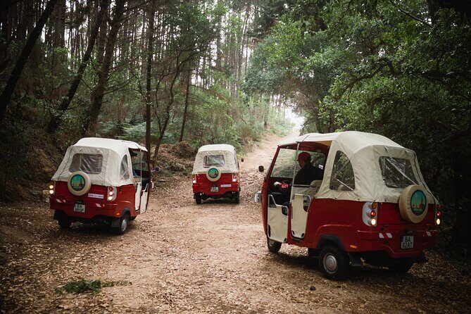 1-Hour Guided Tuk-Tuk Tour in Sintra - The Final Verdict