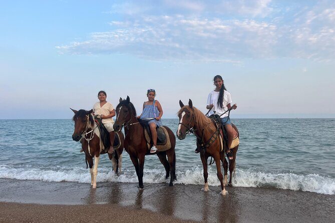 1 Hour Horse Riding in Antalya - A Genuine Exploration of Antalya’s Outdoors