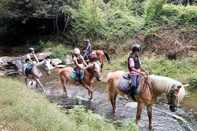 1 hour horseback ride in Valgraziosa Pisa - Final Thoughts: Is It Worth It?