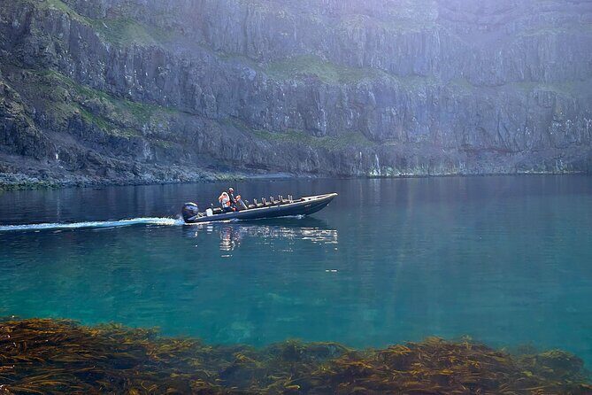 1 Hour Iceland Nature and Wildlife RIB Small Group Guided Safari - Experience the Heart of Iceland’s Marine Life with a RIB Safari