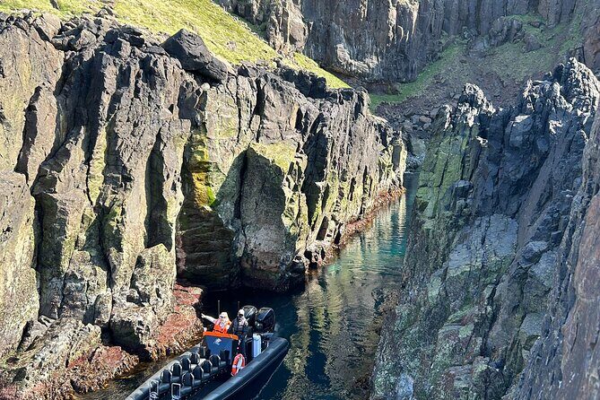 1 Hour Iceland Nature and Wildlife RIB Small Group Guided Safari - Key Points