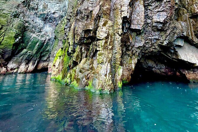 1 Hour Iceland Nature and Wildlife RIB Small Group Guided Safari - Who Should Consider This Tour?