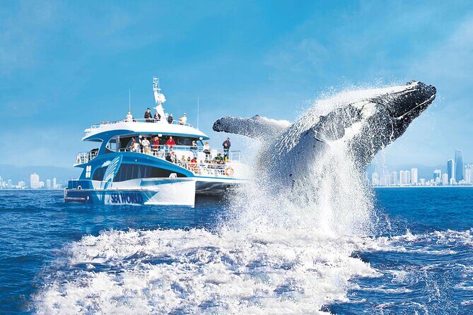1 Hour Jet Ski Island Safari to South Stradbroke Island - Frequently Asked Questions