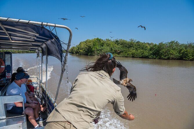1 Hour Jumping Crocodile Cruise on the Adelaide River - A Deep Dive into the Crocodile Encounter