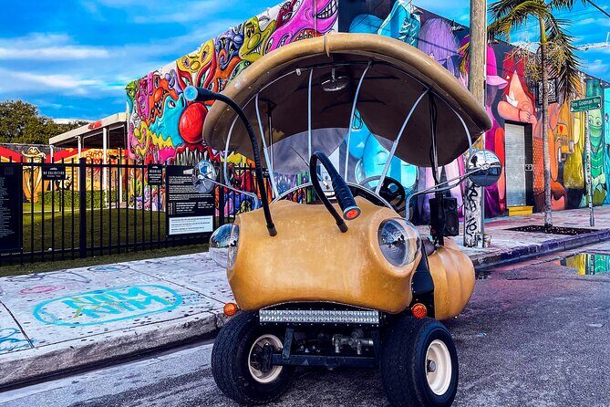 1 Hour Lady Buggy Art Tour Experience in Wynwood - Key Points