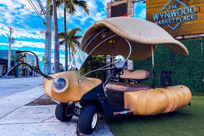 1 Hour Lady Buggy Art Tour Experience in Wynwood - The Practicalities: What You Need to Know