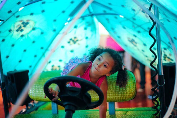 1 Hour Lady Buggy Art Tour Experience in Wynwood - Final Thoughts