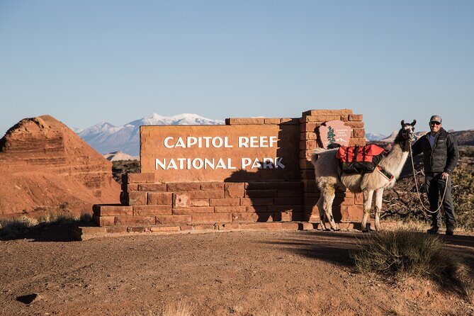 1-Hour Llama Hike Family Friendly and Fun - Discover the Charm of a 1-Hour Llama Hike in Capitol Reef