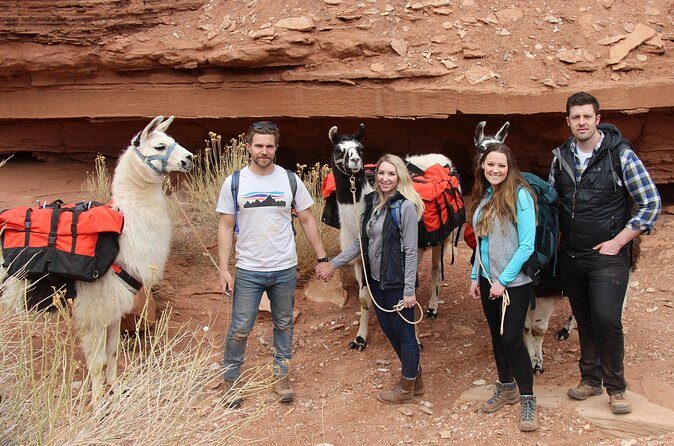 1-Hour Llama Hike Family Friendly and Fun - Summing It Up