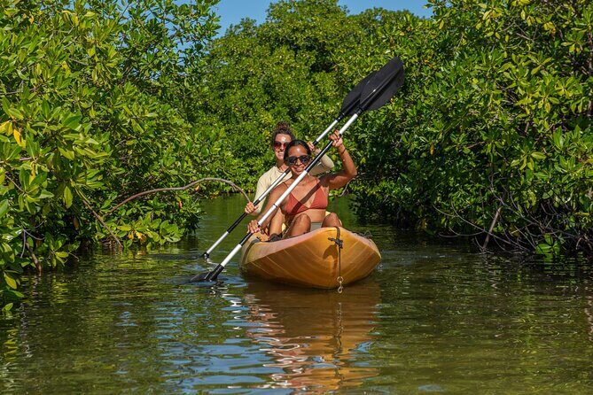 1 Hour Mangrove Kayak Tour - In-Depth Review of the Bonaire Mangrove Kayak Tour