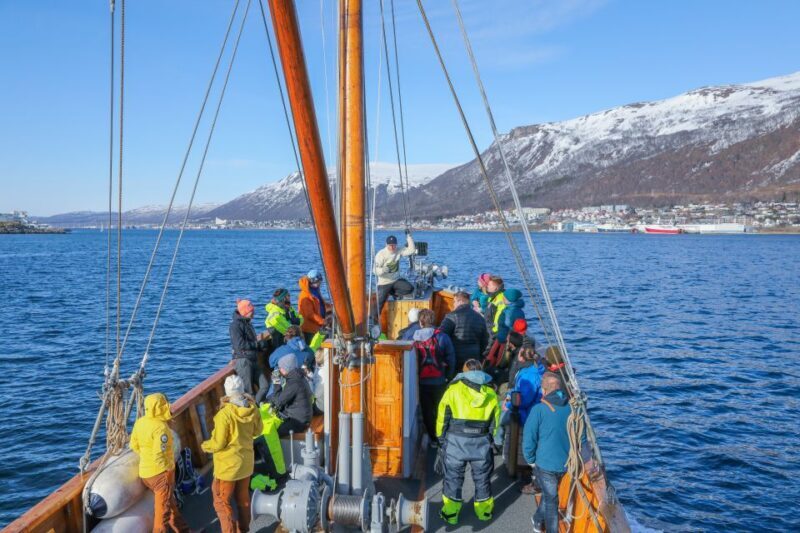 1 Hour Photo & History Cruise - A Cozy Voyage Through Tromsø’s Coastal Beauty and Maritime Past