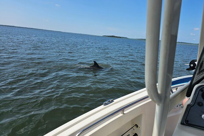 1 Hour Private Dolphin and Nature Tour - An In-Depth Look at the 1 Hour Private Dolphin and Nature Tour