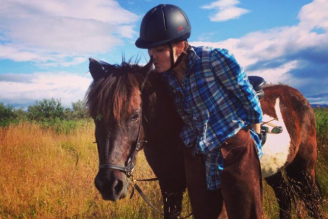 1+ hour Private Horse riding tour from Reykjavík/Mosfellsbær - Who Should Consider This Tour?