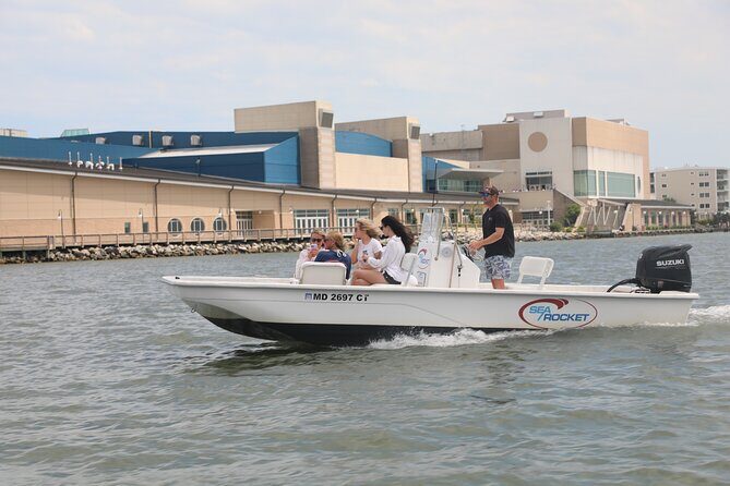 1-Hour Private Party Assateague Island Pony Cruise in Ocean City - An In-Depth Look at the 1-Hour Assateague Island Pony Cruise