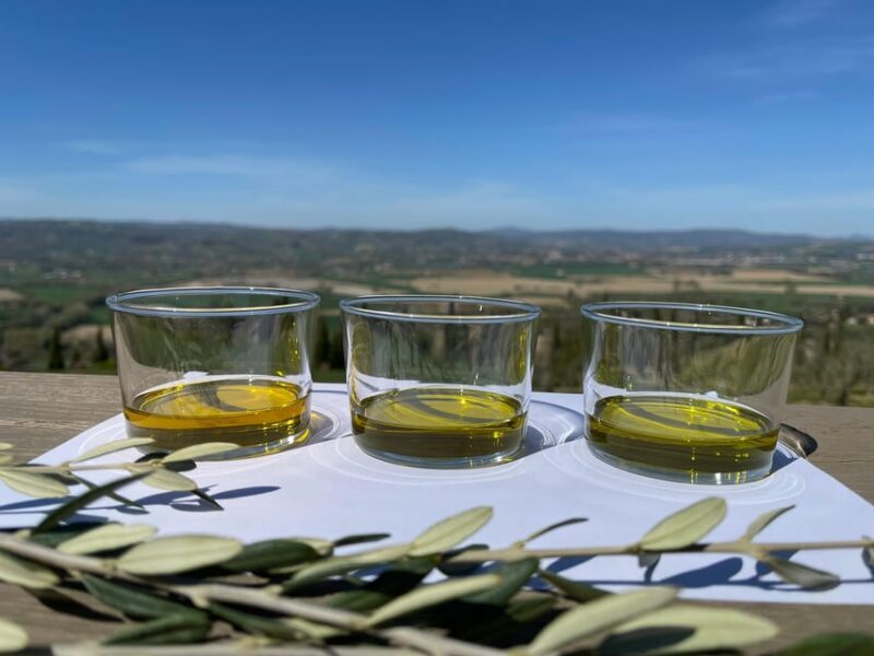 1-Hour Private Tour of the Oil Mill with Tasting - Key Points