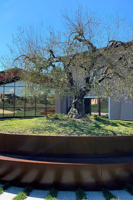 1-Hour Private Tour of the Oil Mill with Tasting - Why This Tour Offers Great Value