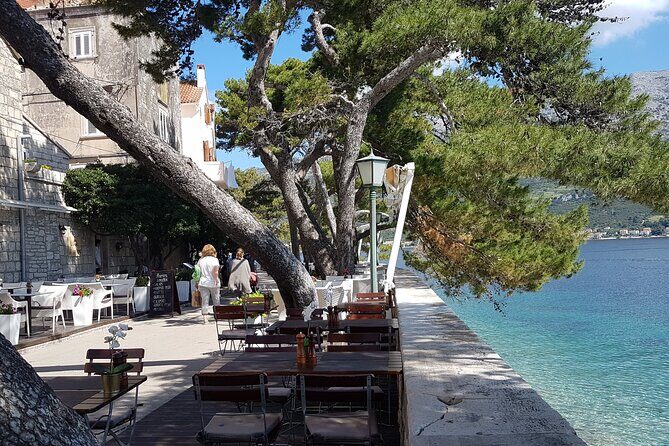 1 Hour Private Walking Tour in Korcula - The Experience of the Guide