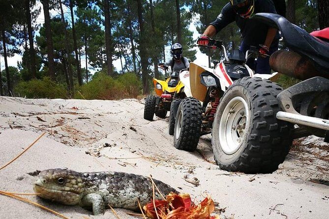 1 Hour Quad Bike Tours, only 30 minutes from Perth - Explore the Wild Side of Perth with a 1-Hour Quad Bike Tour