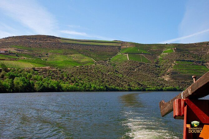 1-Hour Rabelo Boat Trip in Pinhão - A Deep Dive into the Rabelo Boat Trip Experience