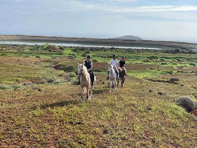 1 hour relaxing horse riding tour in Gran Canaria - An In-Depth Look at the Horse Riding Experience in Gran Canaria