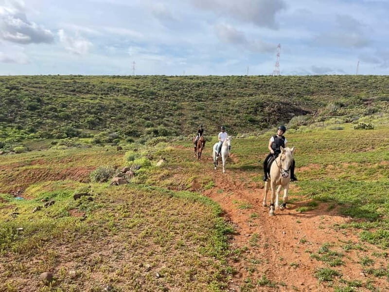 1 hour relaxing horse riding tour in Gran Canaria - The Real Value of This Experience