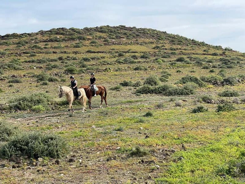 1 hour relaxing horse riding tour in Gran Canaria - FAQs