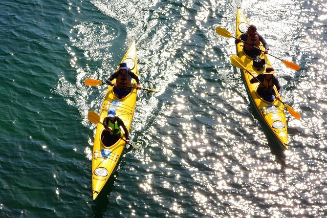 1 Hour Rental Deluxe Double Sea Kayak - What Makes This Kayak Rental Stand Out