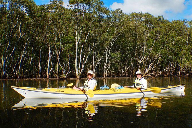 1 Hour Rental Deluxe Double Sea Kayak - Final Thoughts