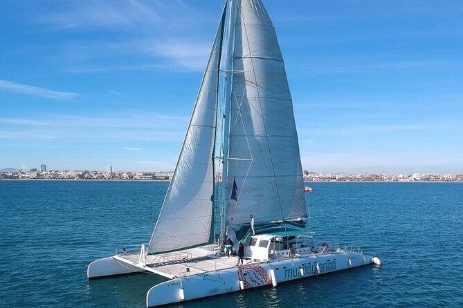 1 Hour Sailing Excursion in Valencia - In-Depth: Itinerary Breakdown