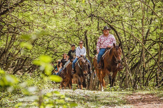 1 Hour Scenic Horseback Ride - Discover the Hidden Beauty of Oahu on a 1-Hour Scenic Horseback Ride