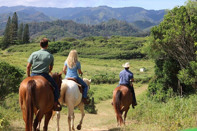 1 Hour Scenic Horseback Ride - Key Points