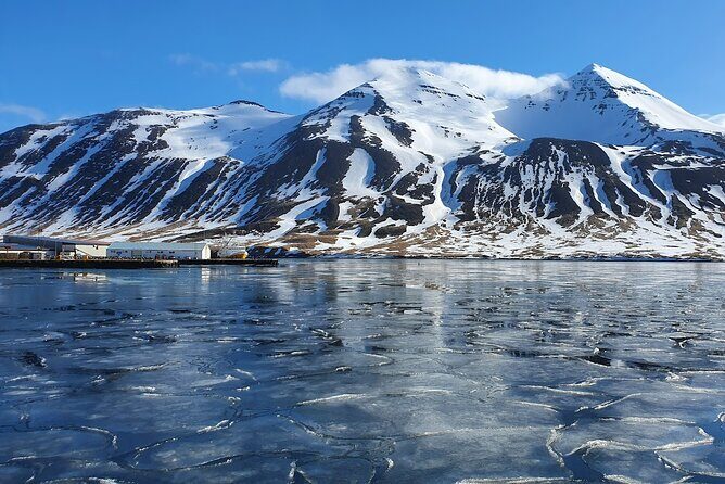 1-Hour Siglufjörður Stroll - Key Points