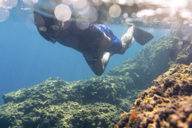 1-Hour Snorkeling Tour in Paraggi Bay, Portofino - FAQ