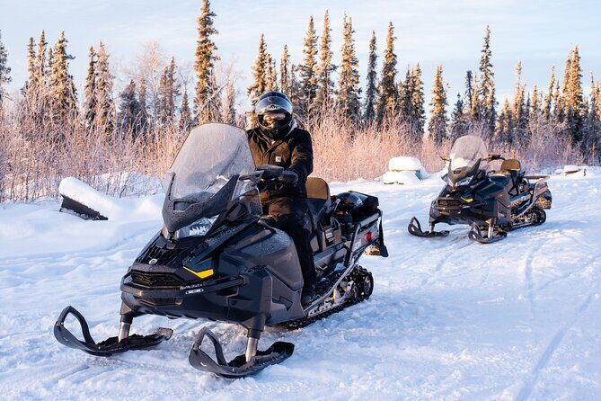 1 Hour Snowmobile Adventure in Boreal Forest - Who Should Consider It?