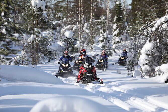 1-Hour Snowmobile Safari Adventure in Rovaniemi - A Closer Look at the 1-Hour Snowmobile Safari in Rovaniemi