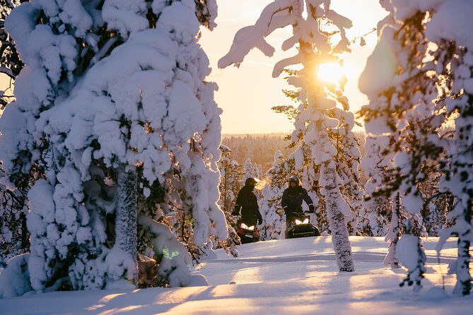 1-Hour Snowmobile Safari Experience - Discovering Rovaniemi’s Snowy Wilderness by Snowmobile