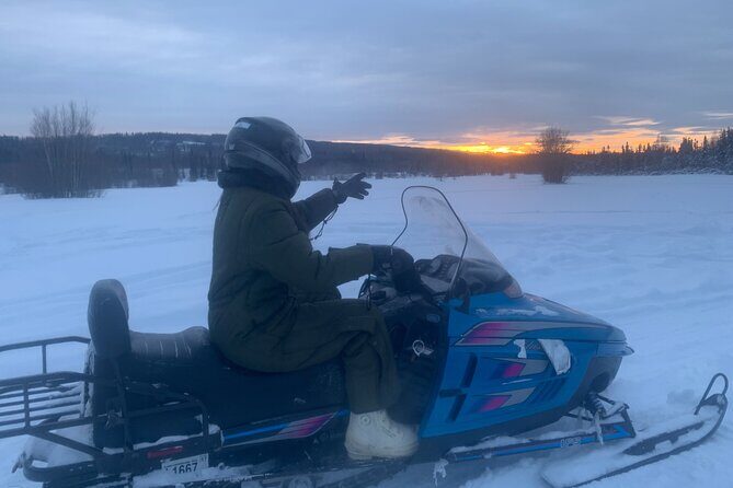 1 Hour Snowmobile Tour in Fairbanks Alaska - Key Points