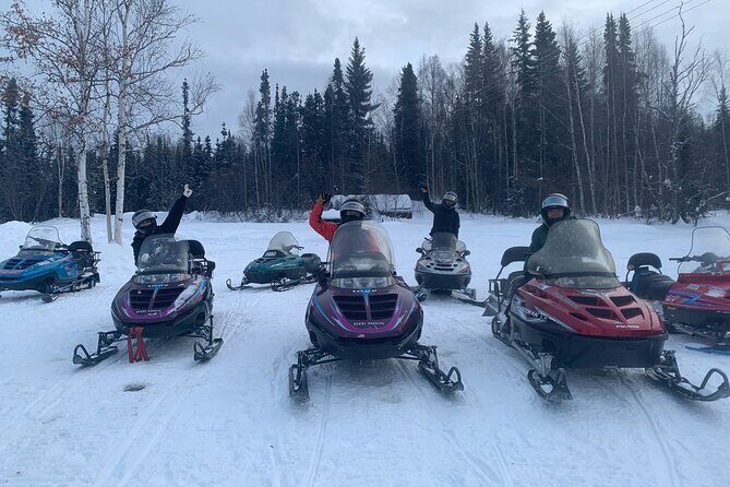 1 Hour Snowmobile Tour in Fairbanks Alaska - Who Should Consider This Tour?