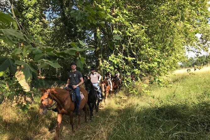 1-hour tourist walk with guide - A Brief Overview of the 1-Hour Horseback Ride Near Lyon