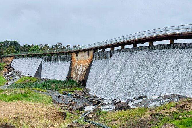 1 Hour Trike Tour for 2 in Mount and Lake Canobolas - The Details of a Scenic Ride Through Orange