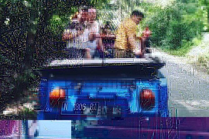 1 Hour VW Explore Ubud - Ubud VW Tour - Experience the Charm of Ubud in a Vintage VW Safari