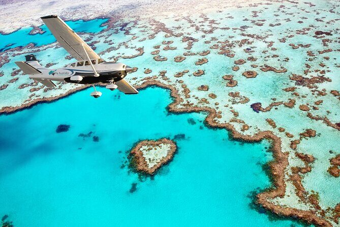 1-Hour Whitsunday Islands and Heart Reef Scenic Flight - Setting the Scene: What to Expect on the Tour