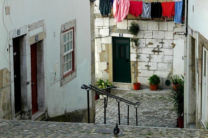 1 Hr City Tuk Tuk / Electric Car Tour of Lisbon - Frequently Asked Questions