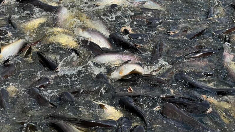 1 Hr Private Bangkok Canal Boat Tour: Traditional Flat Boat - FAQ