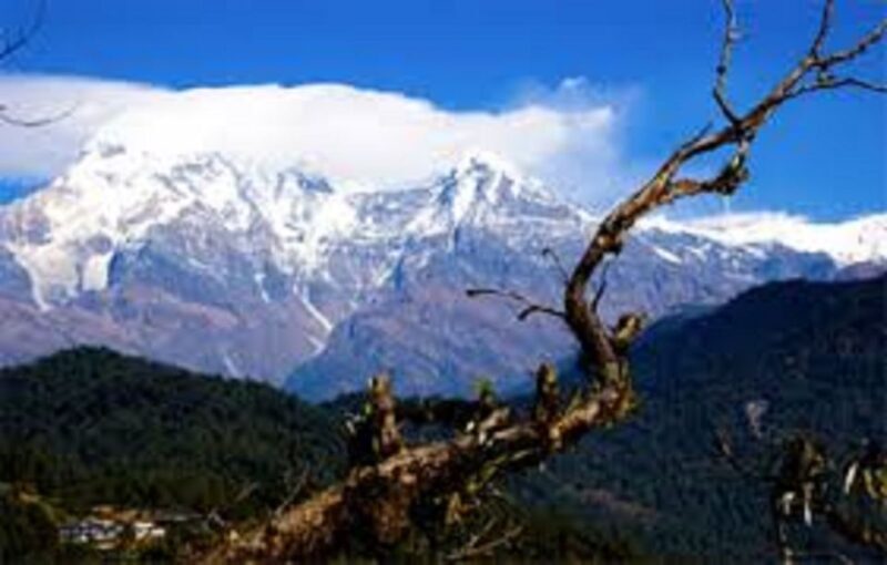 1 Night 2 Days Camping Tour at Australian Camp (Trek) - Key Points