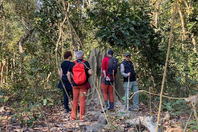 1 Night 2 Days Chitwan Jungle Safari Tour from Kathmandu - FAQ