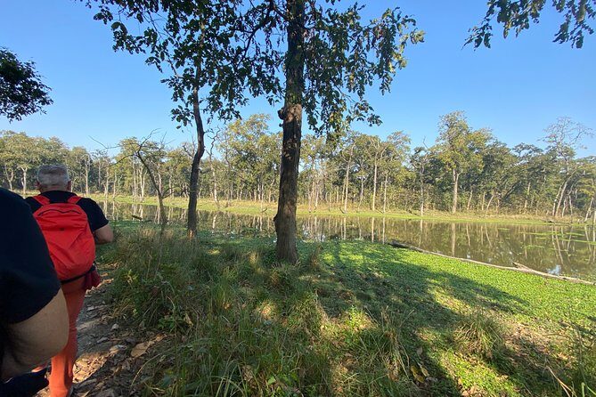 1 Night 2 Days Chitwan Safari Tour - Who Is This Tour Best For?