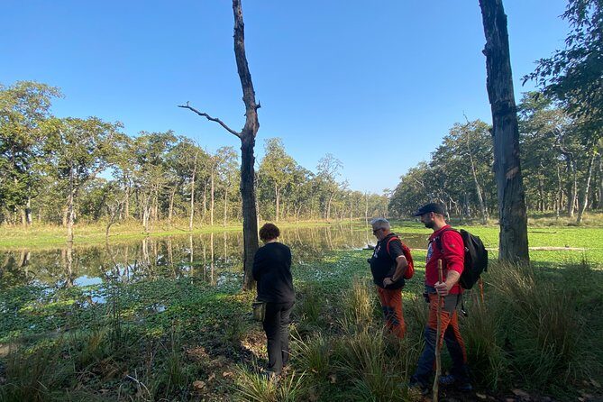 1 Night 2 Days Chitwan Safari Tour - The Sum Up