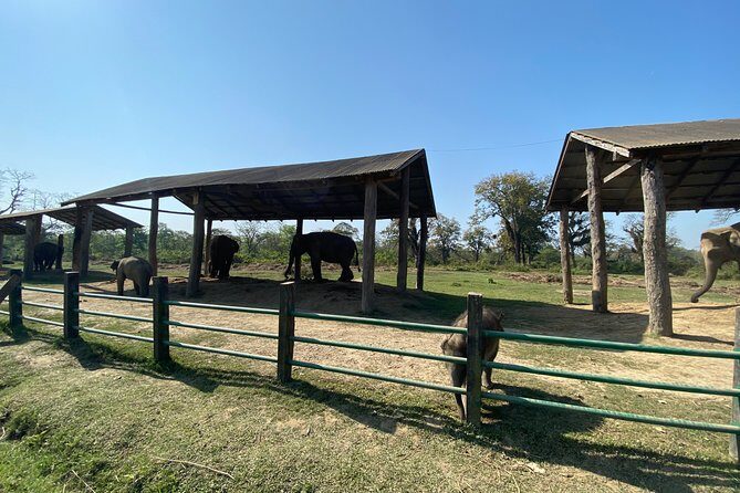 1 Night 2 Days Chitwan Safari Tour - FAQ