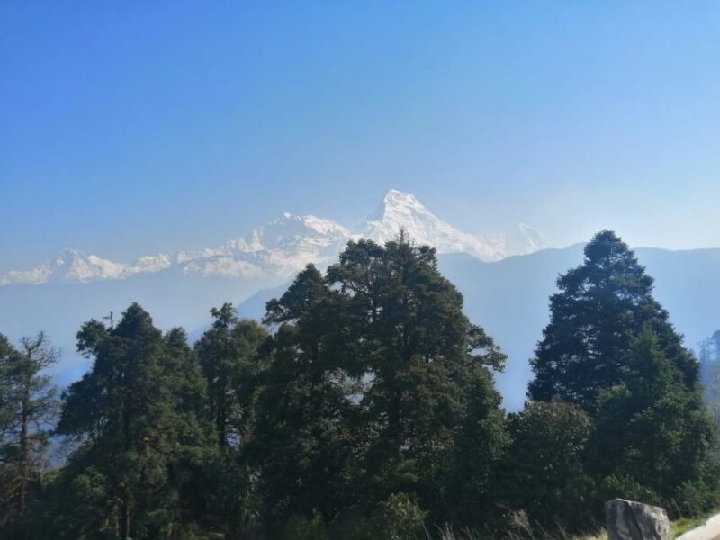 1 Night 2 days Poon hill trek from pokhara - A Quick Look at the 2-Day Poon Hill Trek from Pokhara